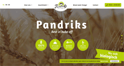 Desktop Screenshot of pandriks.com