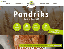 Tablet Screenshot of pandriks.com